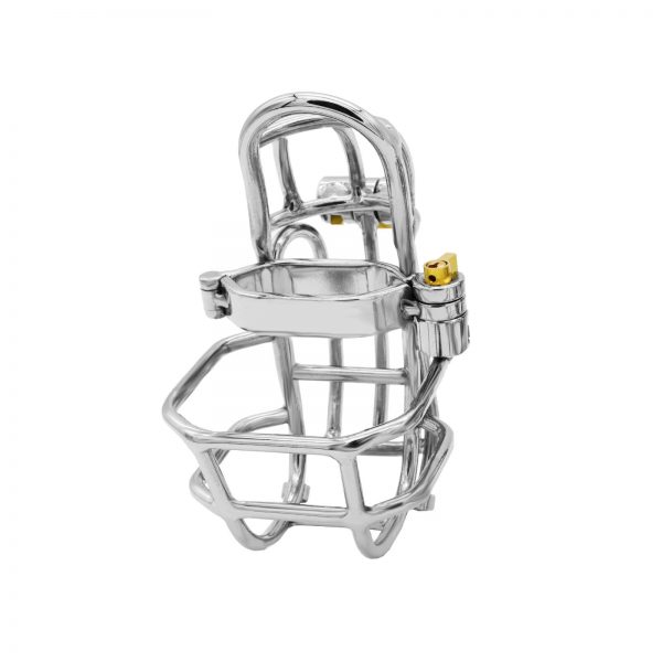 Newest Design Stainless Steel Detachable Male Chastity Device PA Puncture Cock Cage Penis Ring Lock Stealth