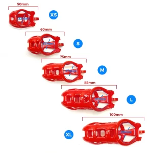 2 Rings BDSM Chastity Cage Devices Male Red Sissy Cock Penis Ring Lock Bondage Slave Erotic