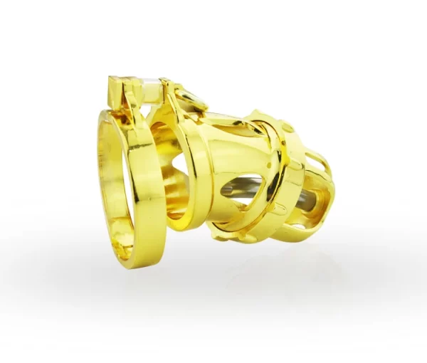 24k Gold Plating Male Chastity Device Cock Cage Penis Ring Chastity Belt Adult Game Cock Ring 2