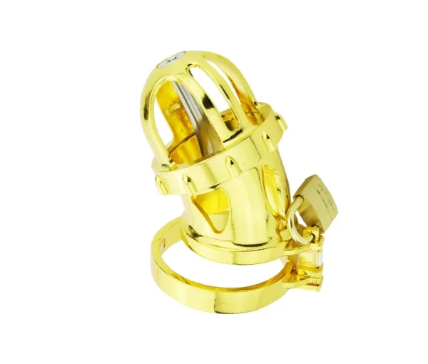 24k Gold Plating Male Chastity Device Cock Cage Penis Ring Chastity Belt Adult Game Cock Ring 3