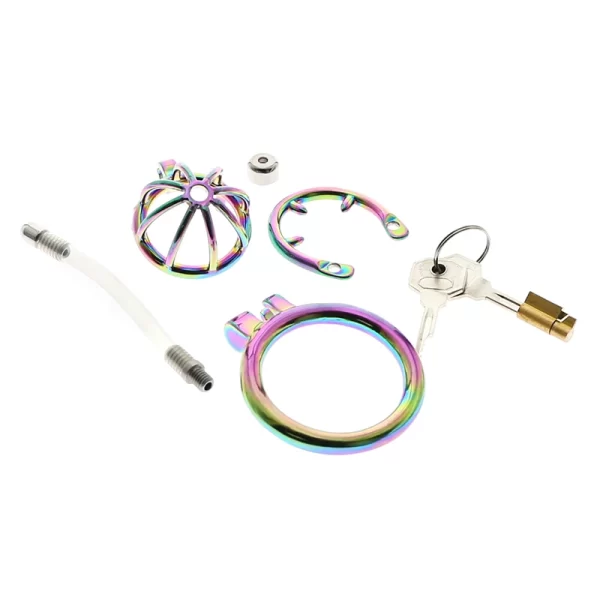 BDSM Rainbow Stainless Steel Cock Cage with Urethral Catheter Erotic Chastity Device lockin Penis Cock Ring 2
