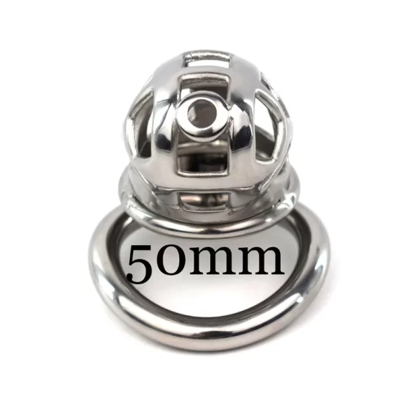 Curved Stainless Steel Male Chastity Device Cock Cage For Men Metal Locking Belt Cock Ring Sex 4