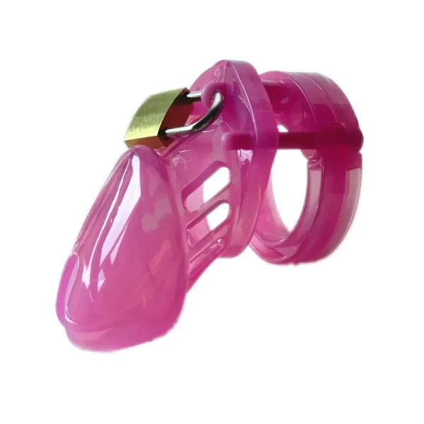 Male Chastity Cock Cages Sex Toys For Men Penis Belt Lock Five Penis Rings Cock Ring